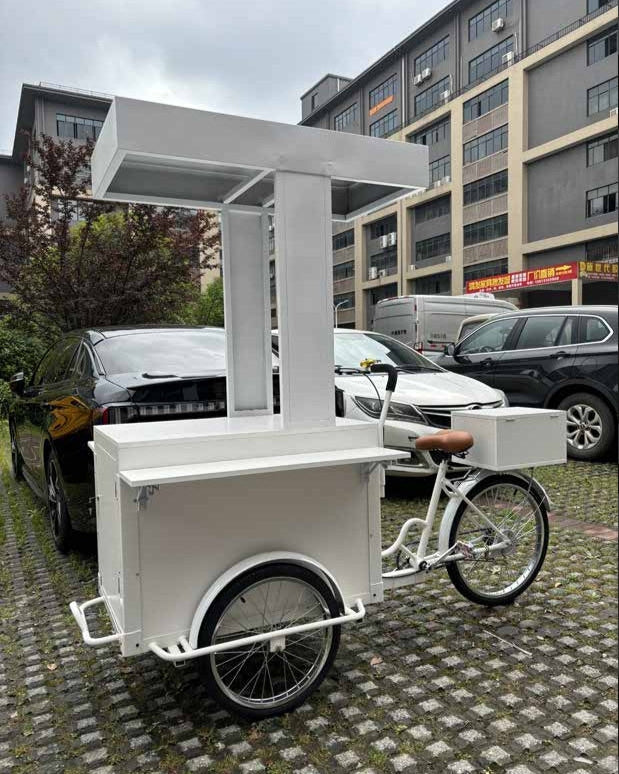 El libro de lectura de la novela 05 