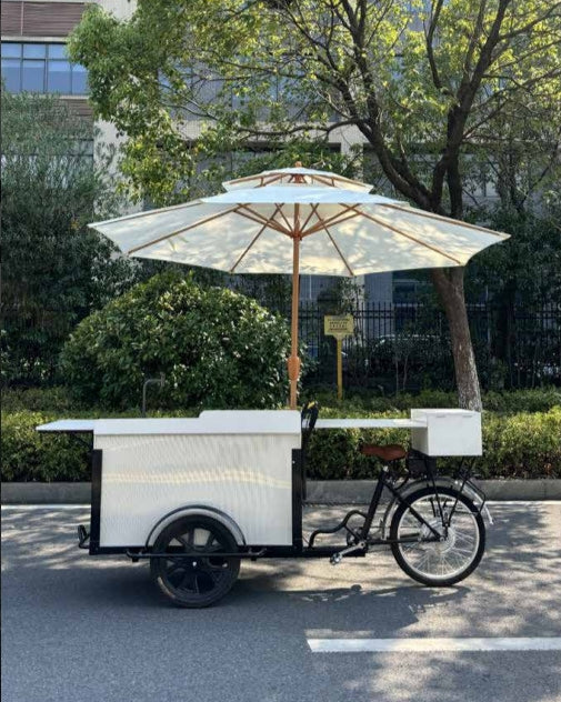 El libro de lectura de la novela 05 