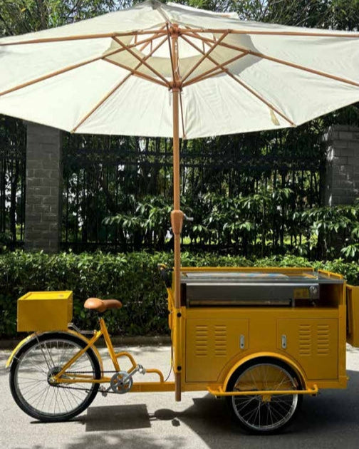 El libro de lectura de la novela 05 