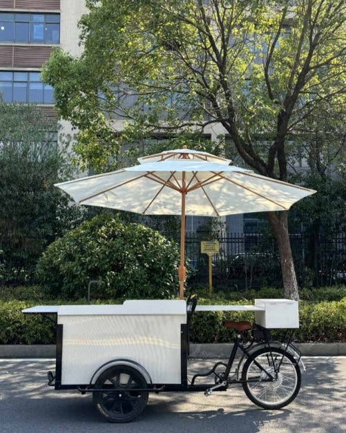 El libro de lectura de la novela 05 