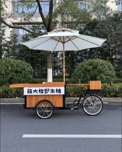 El libro de lectura de la novela 05 