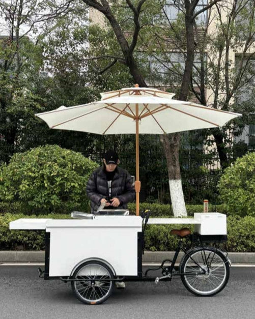 El libro de lectura de la novela 05 