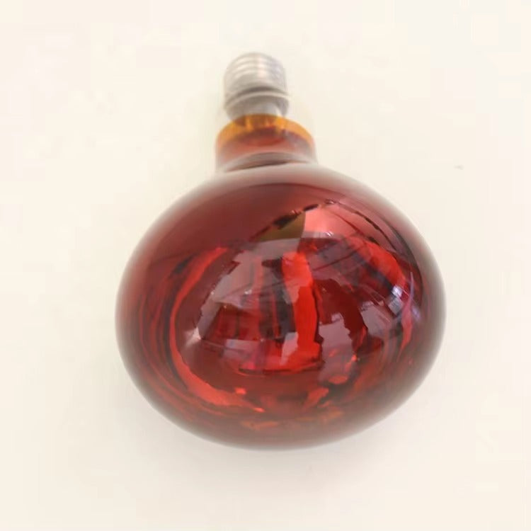 Lámparas para calentar alimentos (1 bombilla) 